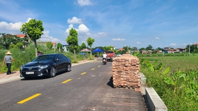 Chuyên gia: Đấu giá đất Thanh Oai 100 triệu đồng/m2, dân rất đói đầu tư