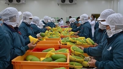 Fruit and vegetable exports surge in first month of the year