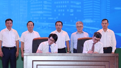 Hải Dương 'bắt tay' nhà khoa học tìm kiếm ứng dụng thực tiễn cho chuyển đổi số