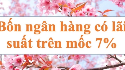 Bốn ngân hàng trên mốc 7%