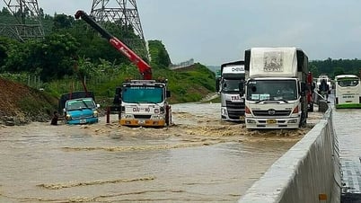 ផ្លូវ Dau Giay-Phan Thiet Expressway ជន់លិចដោយសារលូតូចៗ ភ្លៀងធ្លាក់ខ្លាំង ទឹកមិនអាចបង្ហូរបានលឿនគ្រប់គ្រាន់