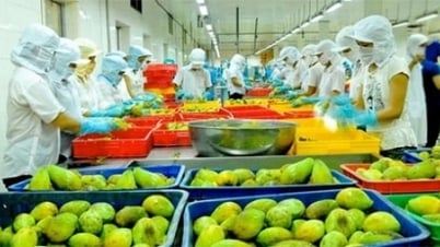 Fruit and vegetable exports earned nearly 1.25 billion USD in the first quarter