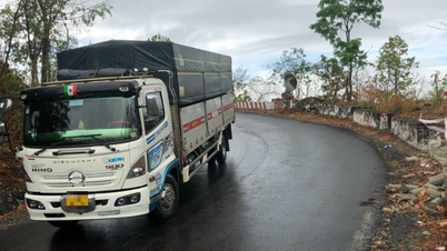 Le ministère des Transports répond à la proposition de modernisation de la route nationale 28 à travers Lam Dong
