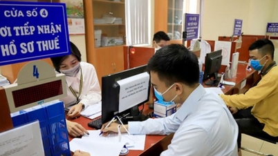Gia hạn thời hạn nộp thuế, tiền thuê đất năm 2024