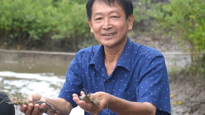 គំរូពណ៌បៃតង - ប្រាក់ចំណូលដ៏ធំ