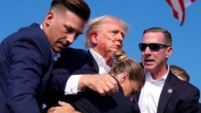What happens if a candidate is murdered?
