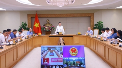កុំពឹងផ្អែកខ្លាំងពេកលើគុណសម្បត្តិនៃកម្លាំងពលកម្មថោក ការលើកទឹកចិត្តពន្ធ និងដីធ្លី។