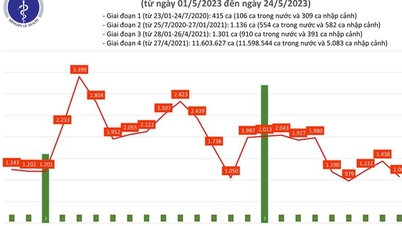 Thêm 1.081 ca mắc Covid-19 trong ngày 24.5