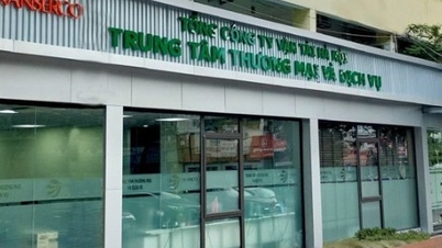 Đấu giá 48 xe ô tô của Transerco, giá khởi điểm hơn 6 tỷ đồng