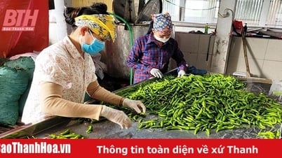 Đa dạng các sản phẩm nông sản xuất khẩu