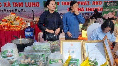 ការនាំយកឯកទេស Lang ចូលទៅក្នុងលំហវប្បធម៌នៃភូមិភាគឦសាន