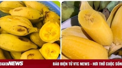 茹でたワックスバナナの効果は何ですか？