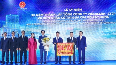 Viglacera - 50 năm phát triển bền vững