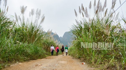 Ninh Binh នឹង​រៀបចំ​កម្មវិធី​ទូរទស្សន៍​ពិត​និង​កម្មវិធី​តន្ត្រី​ផ្ទាល់​ដែល​មាន​ឈ្មោះ​ថា "Mien lau trang"។