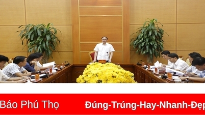 Sắp xếp, tinh giản biên chế theo lộ trình, tránh cơ học, cào bằng