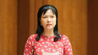 Nữ đại biểu quốc hội nêu băn khoăn của cử tri về tăng giá điện