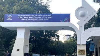 Bộ Nông nghiệp và Phát triển nông thôn được thêm một thứ trưởng