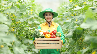 Masan 2024៖ ការប្រមូលផល 'ផ្លែឈើផ្អែម' បង្កើនល្បឿនការពង្រីកការលក់រាយ