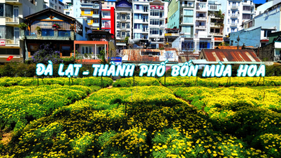 Festival hoa Đà Lạt hướng tới quy mô quốc gia, quốc tế