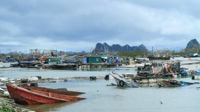 អត្រាការប្រាក់កម្ចីធ្លាក់ចុះយ៉ាងខ្លាំងបន្ទាប់ពីព្យុះលេខ 3