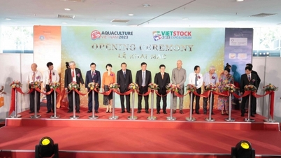 Cơ hội đổi mới, bứt phá kinh doanh tại Vietstock và Aquaculture Vietnam 2024