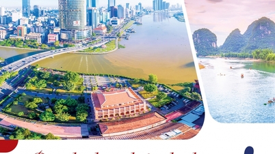 ដាស់​ភាព​ក្លាហាន​របស់​អ្នក​ហើយ​យក​ឈ្នះ​លើ​ក្បាល​ខ្យល់​!