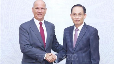 تعزز فيتنام والبرتغال علاقاتهما من خلال القنوات الحزبية.