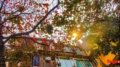 ទីក្រុងហាណូយក្នុងរដូវផ្លាស់ប្តូរស្លឹកឈើ