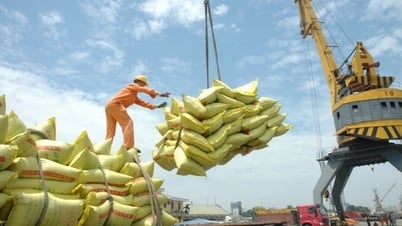 Liên kết vùng để nâng cao năng lực xuất khẩu gạo