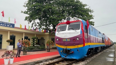 La planificación del ferrocarril Lao Cai-Quang Ninh cuesta casi 184 billones de VND