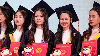A new foreign university in the world's top 500 has established a branch in Vietnam.