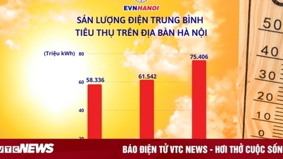 Kiểm soát điện tiêu thụ hàng ngày để tránh bất ngờ khi nhận hóa đơn tiền điện