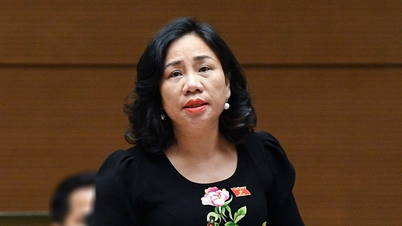 연체금 및 건강보험료 납부 회피 사건 잇따라 범죄화 우려