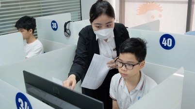 How much is the fee for early university admission certificates?