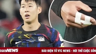 Đánh Son Heung-min trật khớp ở Asian Cup, ngôi sao Hàn Quốc xin lỗi