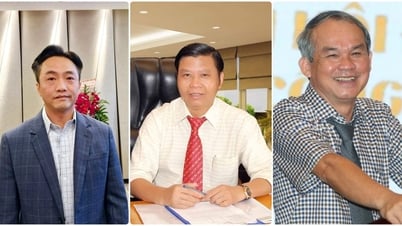 3 đại gia phố núi Gia Lai: Cổ phiếu hồi phục dù kinh doanh lận đận