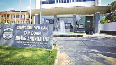 Hoang Anh Gia Lai (HAG) បានផ្លាស់ប្តូរអ្នកវិនិយោគទិញភាគហ៊ុនចំនួន 130 លាន