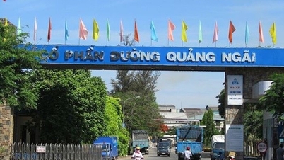 ផ្លូវ Quang Ngai (QNS) បានដាក់ប្រាក់ចំនួន 4,850 ពាន់លាននៅក្នុងធនាគារ ហើយបន្ទាប់មកត្រូវខ្ចីប្រាក់ចំនួន 1,400 ពាន់លានសម្រាប់អាជីវកម្ម។