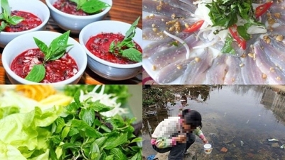 ការឆ្លងមេរោគប៉ារ៉ាស៊ីតពីទម្លាប់គ្រោះថ្នាក់