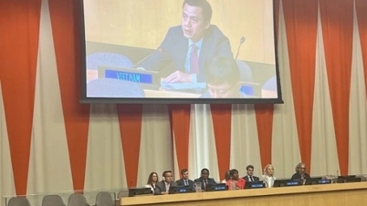 Vietnam apoya firmemente las actividades de las Naciones Unidas sobre minerales esenciales para la transición energética.