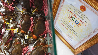 ទាញយកប្រយោជន៍ពីឱកាសដើម្បីបង្កើនការនាំចេញទៅកាន់ប្រទេសសមាជិក FTA