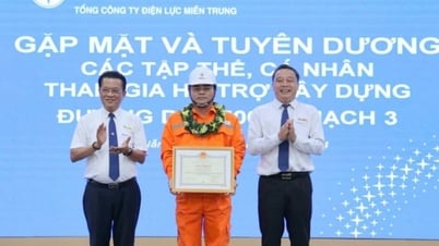 វិស្វករ​រូប​នេះ​តែង​តែ​លះបង់​ខ្លួន​សម្រាប់​ឧស្សាហកម្ម​អគ្គិសនី Quang Tri