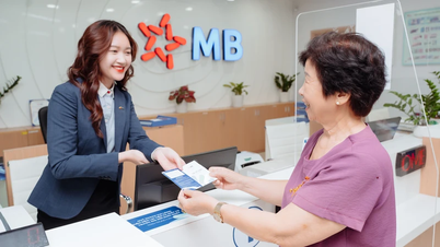 MB Bank chuẩn bị họp Đại hội đồng cổ đông nhiệm kỳ 2024-2029