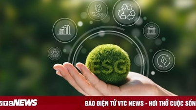 Sáng kiến của BAT hoàn thiện thêm các mục tiêu ESG của Việt Nam