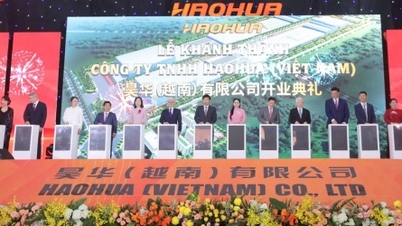 ក្រុមហ៊ុន Haohua Group សម្ពោធរោងចក្រសំបកកង់រថយន្តតម្លៃ 500 លានដុល្លារនៅទីក្រុង Binh Phuoc