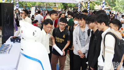 Da Nang creates a platform for the startup community to 'Reach the creative frontier'