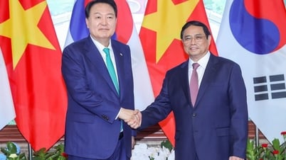 Dấu ấn hợp tác đặc biệt Việt Nam