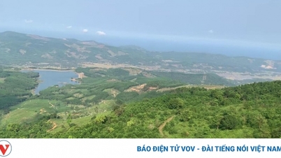 Binh Dinh develops many types of tourism in La Vuong plateau