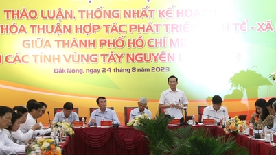 អ្វីដែលត្រូវធ្វើដើម្បីដាស់សក្ដានុពលនៃការអភិវឌ្ឍន៍ 'នៅស្ងៀម' នៅតំបន់ខ្ពង់រាបកណ្តាល?