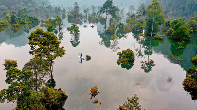 Tan Hoa: From flood center to the best tourist village